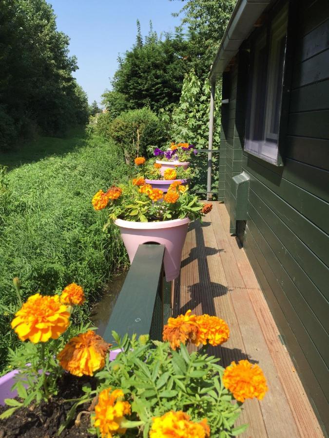 Gardenhouse Mariposa Villa Badhoevedorp Exterior foto